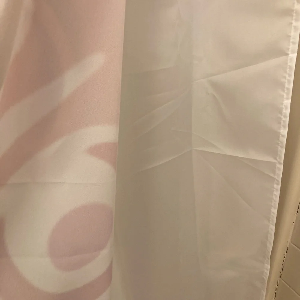 Like New Shower Curtain with Hooks and Liner